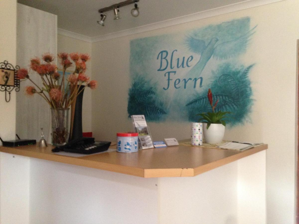 Blue Fern Of Knysna Bed & Breakfast Екстериор снимка