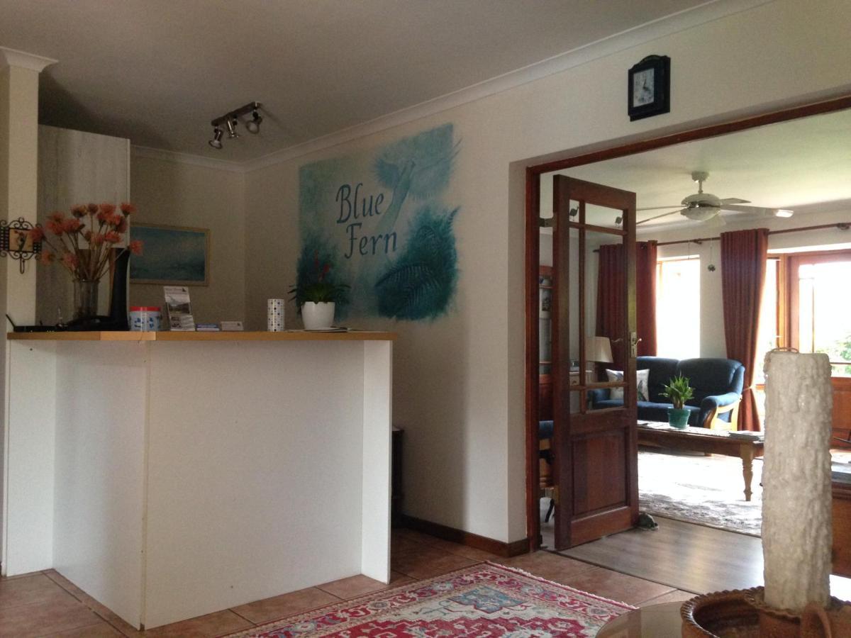 Blue Fern Of Knysna Bed & Breakfast Екстериор снимка